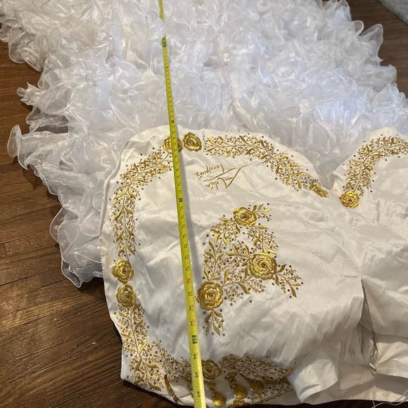 Quinceañera Adán Terriquez Additional Pictures Dress & Train Detail - Picture 12 of 17